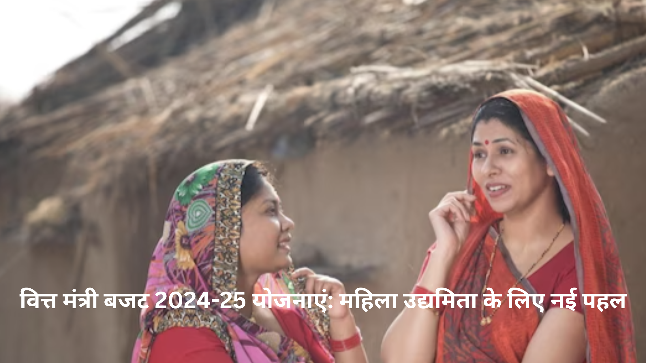 वित्त मंत्री बजट 2024-25 योजनाएं: महिला उद्यमिता के लिए नई पहल